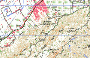 Muestra mapa 1:25000 Murcia